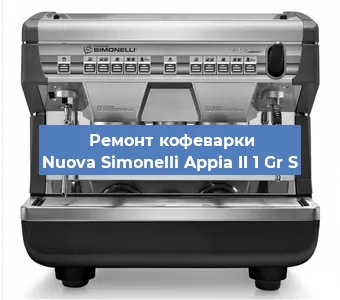 Ремонт кофемашины Nuova Simonelli Appia II 1 Gr S в Красноярске